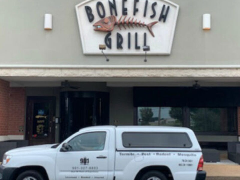 901 pest control at bonefish grill