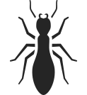 bug icon