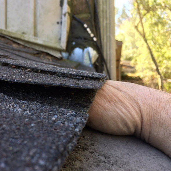 hand under roofing shingle