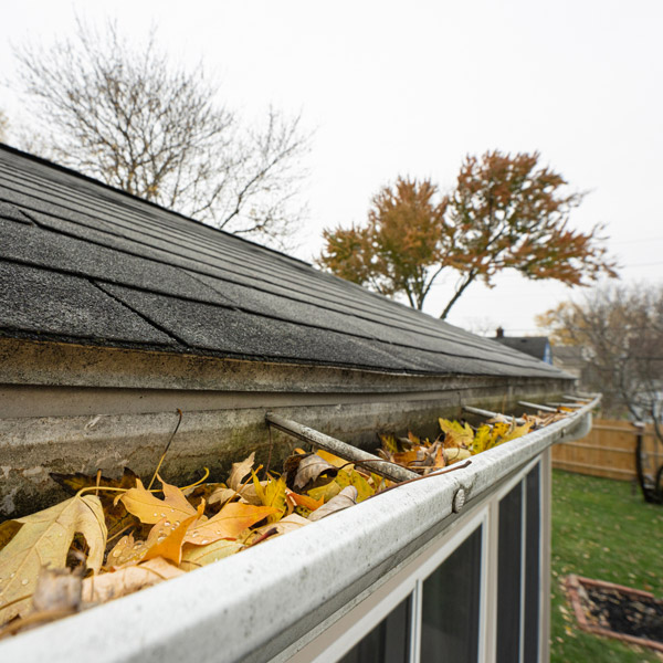 gutter filled with leaves